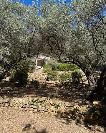 Villa Faro